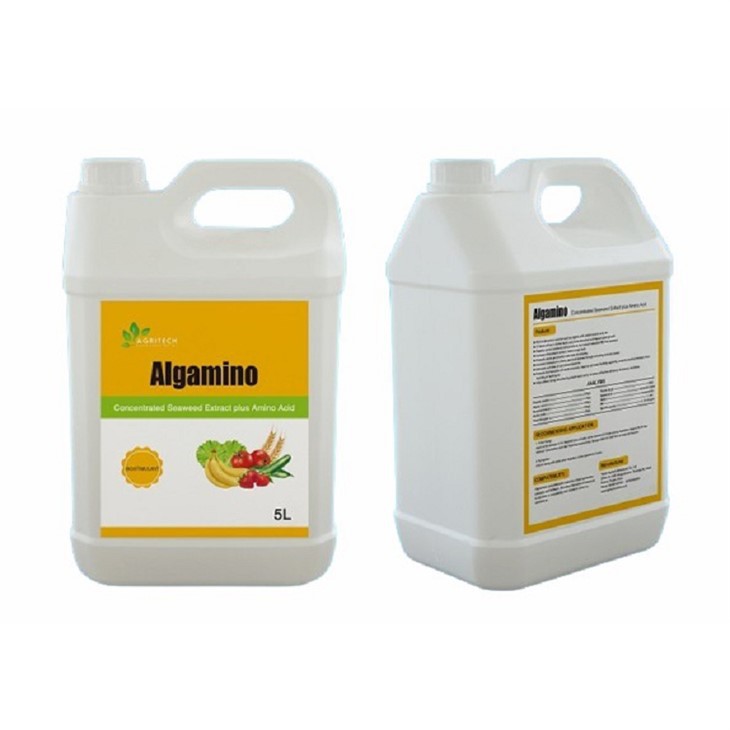 Algamino